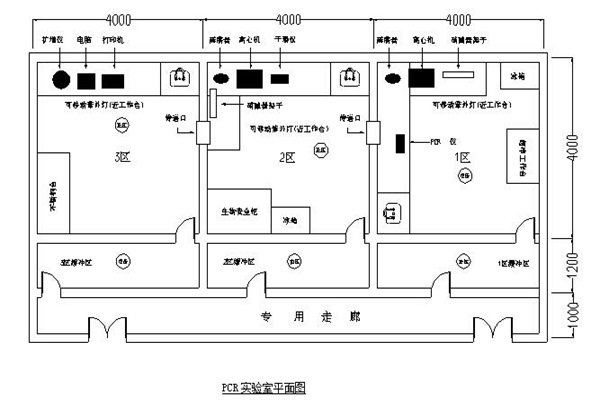 乐鱼的规划设计（PCR乐鱼） 