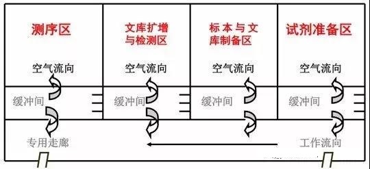 高通量测序检测乐鱼设计