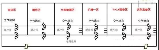 高通量测序检测乐鱼设计