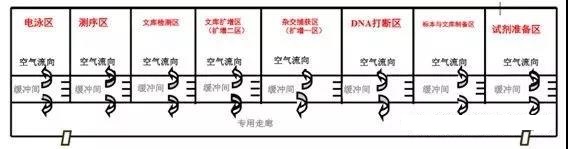 高通量测序检测乐鱼设计