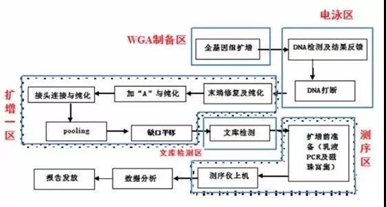 高通量测序检测乐鱼设计