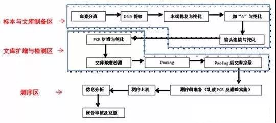 高通量测序检测乐鱼设计