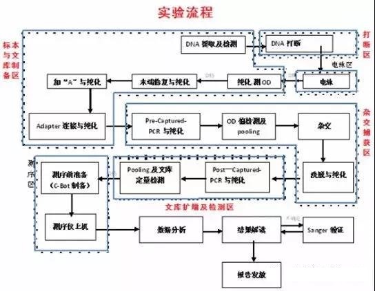 高通量测序检测乐鱼设计