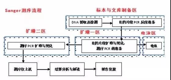 高通量测序检测乐鱼设计