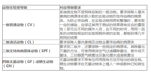 动物乐鱼设计