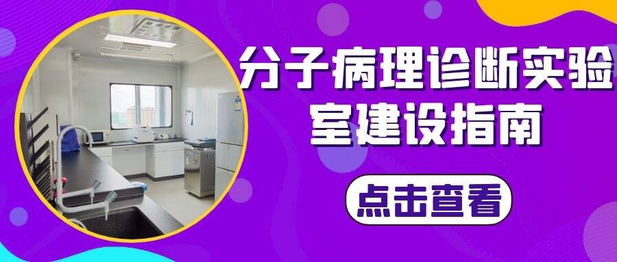 分子病理诊断乐鱼建设指南