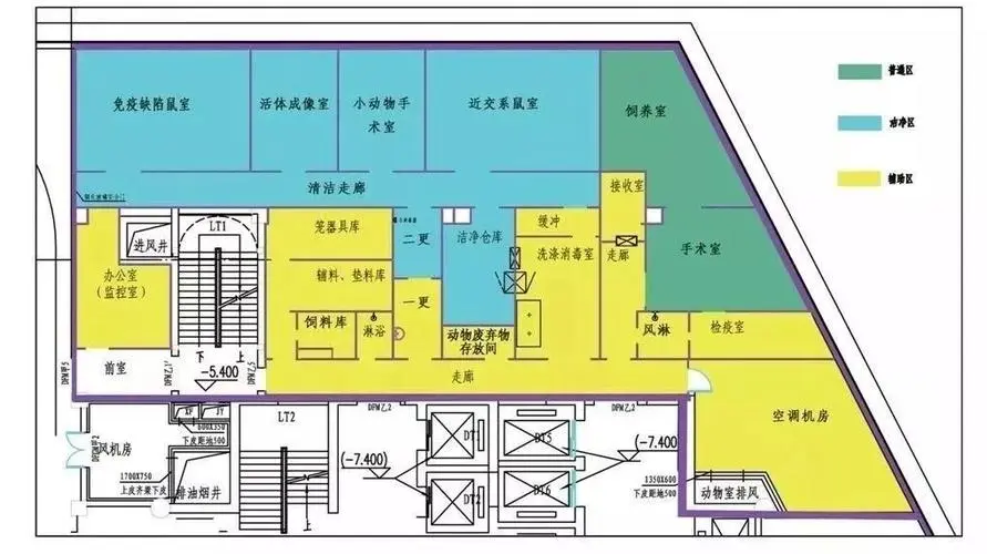 动物乐鱼的装修注意事项